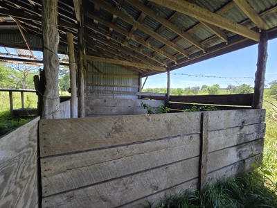 Country Homesite - Acreage For Sale - Homestead Property - image 9
