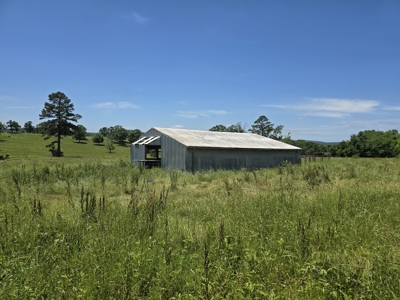 Country Homesite - Acreage For Sale - Homestead Property - image 4