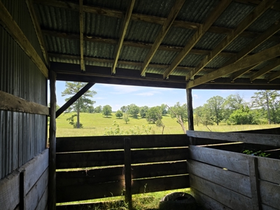 Country Homesite - Acreage For Sale - Homestead Property - image 8