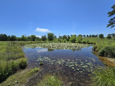 Country Homesite - Acreage For Sale - Homestead Property - image 6