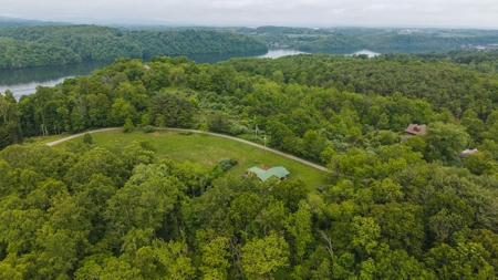 Offering #1 - Home with Water Access at Claytor Lake - image 17