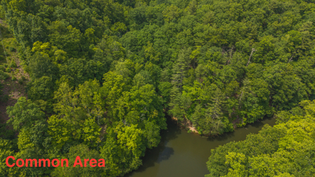 Home with Water Access at Claytor Lake - image 47