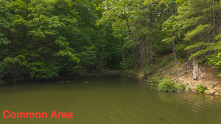 Home with Water Access at Claytor Lake - image 48
