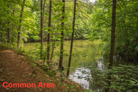 Home with Water Access at Claytor Lake - image 42