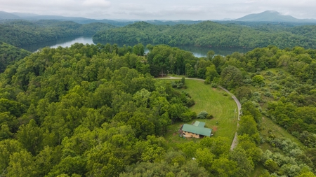 Offering #1 - Home with Water Access at Claytor Lake - image 18