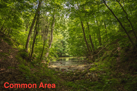 Home with Water Access at Claytor Lake - image 44