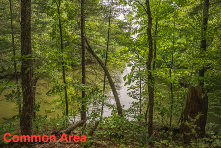 Home with Water Access at Claytor Lake - image 41