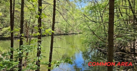 Offering #1 - Home with Water Access at Claytor Lake - image 19