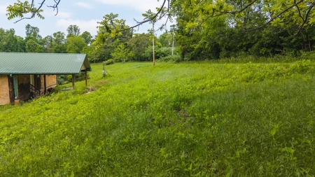 Offering #1 - Home with Water Access at Claytor Lake - image 15