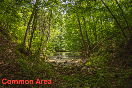 Home with Water Access at Claytor Lake - image 45