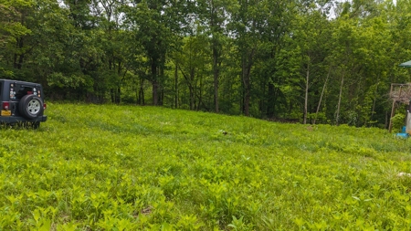 Offering #1 - Home with Water Access at Claytor Lake - image 16