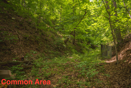 Home with Water Access at Claytor Lake - image 43