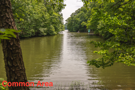 Home with Water Access at Claytor Lake - image 39