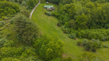 Offering #2 - Building Lot with Water Access at Claytor Lake - image 11