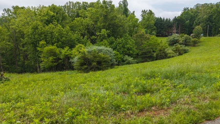 Offering #2 - Building Lot with Water Access at Claytor Lake - image 3