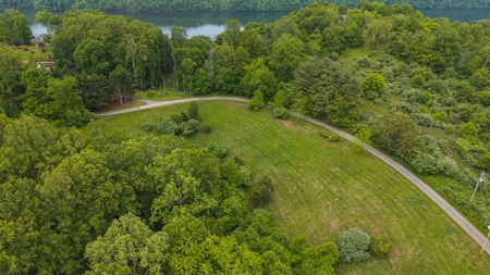 Offering #2 - Building Lot with Water Access at Claytor Lake - image 14