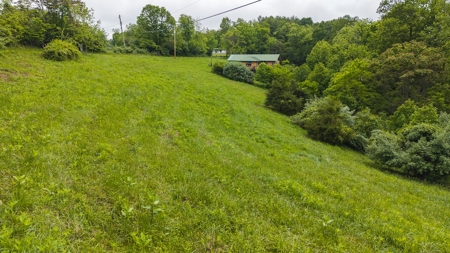 Offering #2 - Building Lot with Water Access at Claytor Lake - image 6