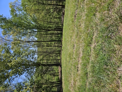 Offering #2 - Building Lot with Water Access at Claytor Lake - image 16