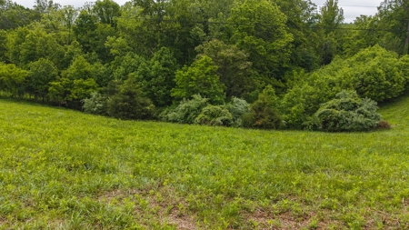 Offering #2 - Building Lot with Water Access at Claytor Lake - image 9