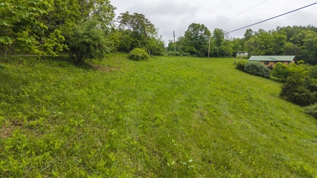 Offering #2 - Building Lot with Water Access at Claytor Lake - image 7