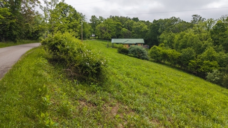 Offering #2 - Building Lot with Water Access at Claytor Lake - image 8