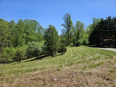 Offering #2 - Building Lot with Water Access at Claytor Lake - image 15