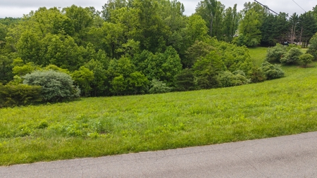 Offering #2 - Building Lot with Water Access at Claytor Lake - image 4