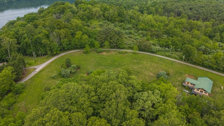 Offering #2 - Building Lot with Water Access at Claytor Lake - image 12