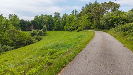 Offering #2 - Building Lot with Water Access at Claytor Lake - image 2