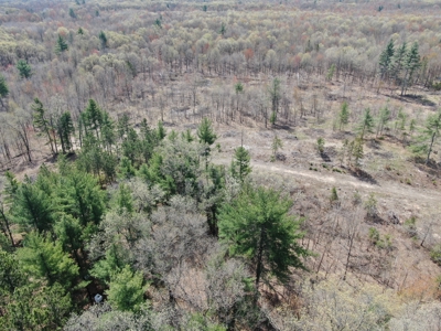 20.41 Acre Sportsman Paradise Juneau County WI - image 13