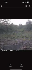 20.41 Acre Sportsman Paradise Juneau County WI - image 23