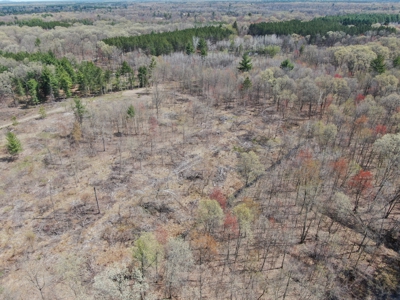 20.41 Acre Sportsman Paradise Juneau County WI - image 20
