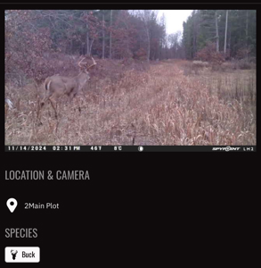 20.41 Acre Sportsman Paradise Juneau County WI - image 30