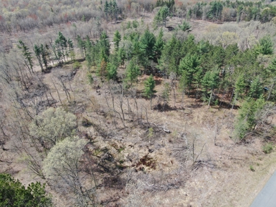 20.41 Acre Sportsman Paradise Juneau County WI - image 8