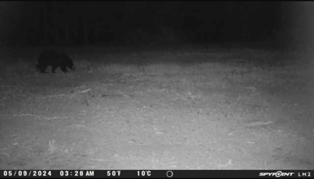 20.41 Acre Sportsman Paradise Juneau County WI - image 26