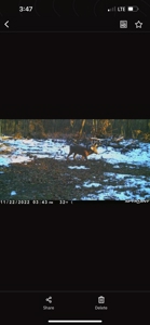 20.41 Acre Sportsman Paradise Juneau County WI - image 25