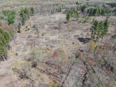 20.41 Acre Sportsman Paradise Juneau County WI - image 18