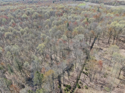 20.41 Acre Sportsman Paradise Juneau County WI - image 16
