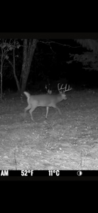 20.41 Acre Sportsman Paradise Juneau County WI - image 24