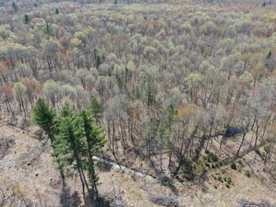 20.41 Acre Sportsman Paradise Juneau County WI - image 15