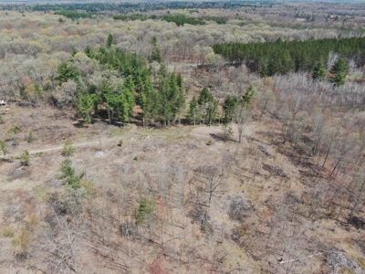 20.41 Acre Sportsman Paradise Juneau County WI - image 21