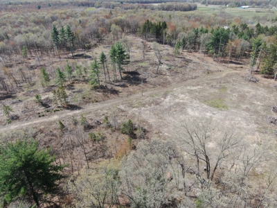 20.41 Acre Sportsman Paradise Juneau County WI - image 12