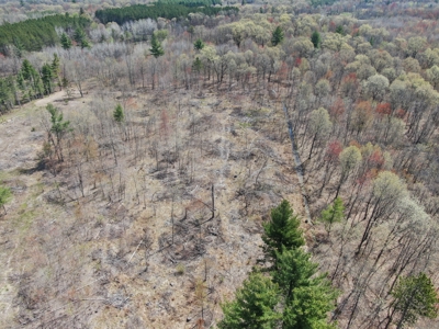 20.41 Acre Sportsman Paradise Juneau County WI - image 17