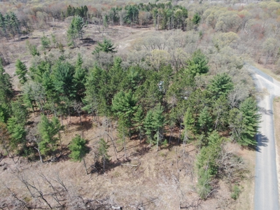20.41 Acre Sportsman Paradise Juneau County WI - image 9