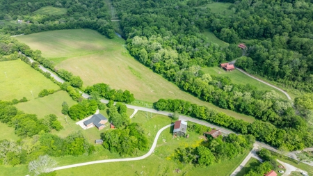 Land for Sale in Maury County, Tennessee - image 9