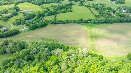 Land for Sale in Maury County, Tennessee - image 13