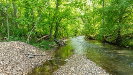 Land for Sale in Maury County, Tennessee - image 46