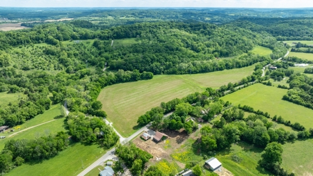 Land for Sale in Maury County, Tennessee - image 7