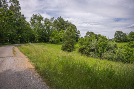 Offering #3 - Building Site with Water Access at Claytor Lake - image 10