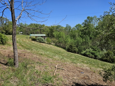 Offering #3 - Building Site with Water Access at Claytor Lake - image 9